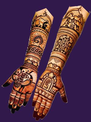 WhatsApp Image 2024-11-27 at 6.23.56 PM (2)